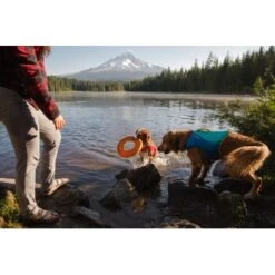 Ruffwear Hydro Plane™ Spielzeug M Orange -Zoofachgeschäft 006b8682fcf44b40a786d55bd2f1d1cf7f91a7a7 1364300 de DE b9c71d828876a94633bfda1055d03e137f81043ehPprdP