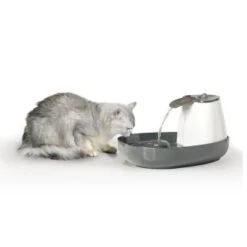 Savic Trinkbrunnen Cascade 7 Savic Trinkbrunnen Cascade -Zoofachgeschäft 015652a13201b792a2f2ee6a9e8dd8898bb9683d 8c309c40131ee8faa1171afc3e1d237432cd64c4