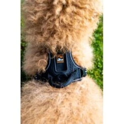 Fressnapf Tracker Pathfinder Geschirr Set S 11 Fressnapf Tracker Pathfinder Geschirr Set S -Zoofachgeschäft 0473ecbb0fe55fb7883a57b7591ab570c5a5aaa7 1409260 2