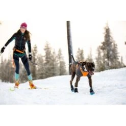 Ruffwear Cloud Chaser™ Hundejacke Schwarz XXS 20 Ruffwear Cloud Chaser™ Hundejacke Schwarz XXS -Zoofachgeschäft 06cfa3a745821d84428a1de78da0089ce33c0271 1369623 de DE 87163fc3e147e303fdf97d4ab87fd720c4f34a96nSWmMF