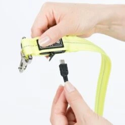 AniOne LED-Leucht-Joggingleine -Zoofachgeschäft 07c332f5d4d9e2a31f63b71d8ad5a24a1433ebe3 7bbc325587ff4dbbdffaca386314904882d94061