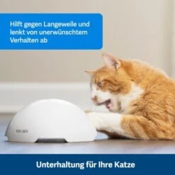 PetSafe Automatisches Katzenspielzeug Fox Den 11 PetSafe Automatisches Katzenspielzeug Fox Den -Zoofachgeschäft 08408a2d9006c3b10c605053b082403622980ada 1351524 de DE 8502feb5da21e0ab937dc8c82ecaeac4aebee886lllVcE