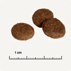 REAL NATURE Country Selection Andalusia Rind Mit Spanischem Kaninchen 12 Kg 12 REAL NATURE Country Selection Andalusia Rind Mit Spanischem Kaninchen 12 Kg -Zoofachgeschäft 0a7fce7b39ad9a46e9b5bd24525cc5f14df99cb4 1325173 de DE 6