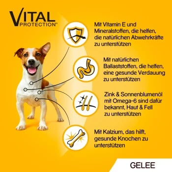 Pedigree Vital Multipack Portionsbeutel In Gelee 40x100g 3 Pedigree Vital Multipack Portionsbeutel In Gelee 40x100g – Bild 3