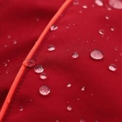 THE DOG IDEA Regenmantel Duke Rot XXXS -Zoofachgeschäft 0b96c2b346599e3bfc621cd46bc5222963a975ce 1487619 de DE 15918523d26ad94991e88a54ba0dbb6c1b769d88mq6M8P