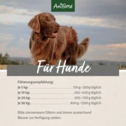 Aniforte GreenfieldTurkey Pute Mit Quinoa 2,4 Kg -Zoofachgeschäft 0c11940ba6ec2b3aaafc30c07ac6a142e2e564be 1422188 de DE ecf8c646fa9f7a73ce2de360e52f7434941d6424KnjBDY