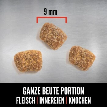Orijen Small Breed 1,8 Kg 5 Orijen Small Breed 1,8 Kg – Bild 5