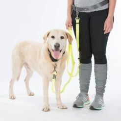 AniOne LED-Leucht-Joggingleine -Zoofachgeschäft 0c872bf6382998b141f45fbfb4af3aef217593db 4460cbc445b3acb16f68236254f1a5dd5fbac998