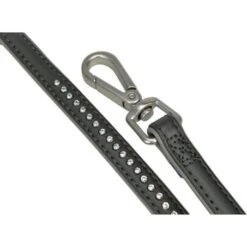 Zoofachgeschäft -Zoofachgeschäft 0e4d429d6b4ea414d846414cdcf8df3e4e16e8cb 6aceb50234562dd2d2ccf3235be56a1e28ff6abe