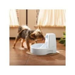 PetSafe Drinkwell Trinkbrunnen Original, 1,5 Liter 6 PetSafe Drinkwell Trinkbrunnen Original, 1,5 Liter -Zoofachgeschäft 0eafb4742dba6833f9a27c15a06f970e4cd3a735 e5e9d8abdbe4501019d4b3506e15c02aeff7b01c
