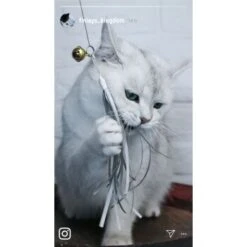 Kater Kasimir Deluxe Set Mit 9 Beliebten Katzenspielzeugen Aus Naturmaterial Und Handgemachtem CATDAD Armband -Zoofachgeschäft 122baa0b19daadb3dc19f77bbc4abc925f85480d 1408151 de DE b29a5f7f2530ce6388e16e2600369d70b2ec0350gWtDX5