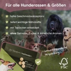 Pawlie's Gelenk Fit Tabletten Hund (100 Stück) 7 Pawlie's Gelenk Fit Tabletten Hund (100 Stück) -Zoofachgeschäft 13c2aa37a08da916b1cd8014d264ba1cb5e12204 1626201 de DE 016987b286bf5101f5ed2a1610825cada7f4cd39esKrs5