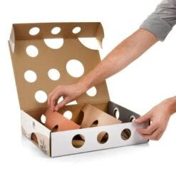 Canadian Cat Company Katzenspielzeug MagicBox 14 Canadian Cat Company Katzenspielzeug MagicBox -Zoofachgeschäft 142300badb79cca7ad6d02f165f6adb72822700a 1361887 de DE 0a0d8e236e46b38b19bc65d2f7a8b14b65d84da00feNa3