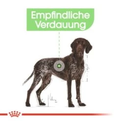 ROYAL CANIN Digestive Care Maxi 12 Kg -Zoofachgeschäft 14d24120573486ee92a7e47688cf6a96e822d722 1376252 de DE iajs 5
