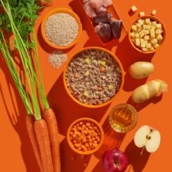 Fred & Felia FRED 10x390g Pute Mit Kartoffeln 7 Fred & Felia FRED 10x390g Pute Mit Kartoffeln -Zoofachgeschäft 1655acad8ebb56aa0d42a817c2dd422fb43d66de 1422052 de DE b38968899d5aadb6bb2af01d15d7f083155a7458pbvP7f