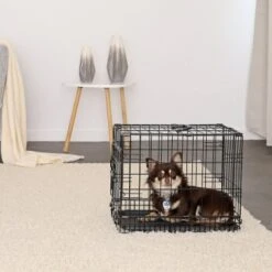 Lionto Hundetransportkäfig S -Zoofachgeschäft 16bf4a7bda8913bd8d6759c333b8462422c25930 1657954 de DE 88d7762950e447e6280dda9dcc577106888c533eyg5v9p