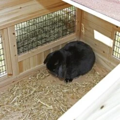 Kerbl Kleintierstall Tyrol Alpin 11 Kerbl Kleintierstall Tyrol Alpin -Zoofachgeschäft 171790ce081654b413a6450e70de4fcec8313490 9773502bb466235b647cc09752f73d4384b4818f