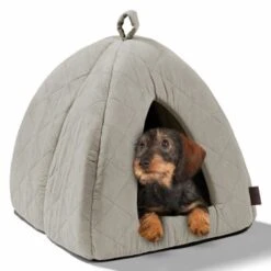 MORE Höhle Diamond -Zoofachgeschäft 1901edb64570eb8cb38c0e72458280ff138dcb40 856e9f8ef094dc77c4e2ce9e6d85768bffa721c6