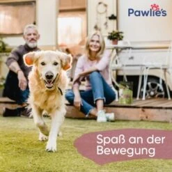 Pawlie's Gelenk Fit Tabletten Hund (100 Stück) 9 Pawlie's Gelenk Fit Tabletten Hund (100 Stück) -Zoofachgeschäft 1c6a6429b71eab5415d0214c381f07051a1fc258 1626201 de DE fc246e46dc05978124c2e49ef6a7667224e432edKNFNet