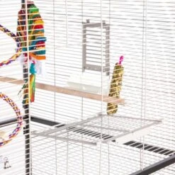 Montana Cages Voliere Paradiso 120 Hellgrau/ Dunkelgrau 10 Montana Cages Voliere Paradiso 120 Hellgrau/ Dunkelgrau -Zoofachgeschäft 1c842f90892054aed2e7d5c892280c11e89fe74b 1200893 de DE 93edbe7d4f0e092dd8649cc255466a331806c29emAqrjU