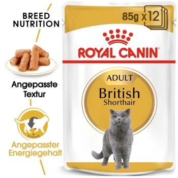 ROYAL CANIN British Shorthair 12x85g 2 ROYAL CANIN British Shorthair 12x85g – Bild 2