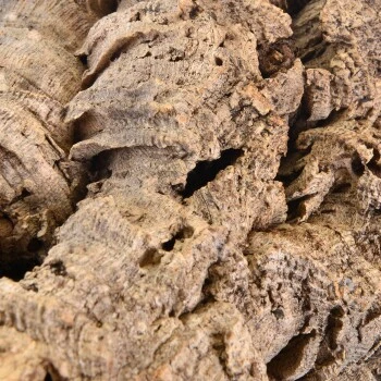 HappyBird Natur Kork Höhle & Tunnel S 3 HappyBird Natur Kork Höhle & Tunnel S – Bild 3