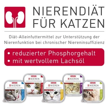 Beaphar Nierendiät 16x100g Taurin 2 Beaphar Nierendiät 16x100g Taurin – Bild 2