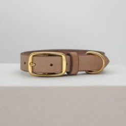 THE DOG IDEA Leder Halsband Beige XL -Zoofachgeschäft 1ec48d2972c0e1dfe6ea7297404e371c480b6f93 1674216 de DE e62f018514b26e403cf6836ac6a855f79abfd60fyH1vTH