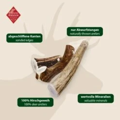 ChronoBalance Geweih Ganz (XL) 2er Paket 11 ChronoBalance Geweih Ganz (XL) 2er Paket -Zoofachgeschäft 227b4896b023f1721ec9ccfcda37ed549cced470 1418693 de DE 97f6faa2e066481717c6e9970bb381a3824303b8vU2fW5