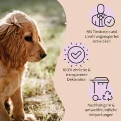 FAVLY Petfood PURE Bites Hirsch 360 G 7 FAVLY Petfood PURE Bites Hirsch 360 G -Zoofachgeschäft 236dbc85f5fb75ec5fb4367bde1445e3087ffdcd 1474003 de DE 80624b888460a5c29f043365a19496292e44fd84TlIvR8