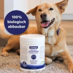 Canosept Universal Pflegetücher 12 Canosept Universal Pflegetücher -Zoofachgeschäft 24cf88dc9848fe8bbd0e0b3c3b3e7bcd1dcef03a 1369844 de DE 57494a83f926392288db1eef06457ee9579ee6ffEZRgS4