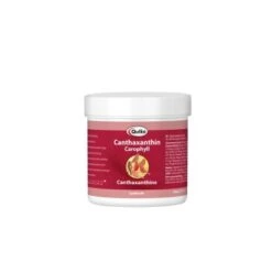 Quiko Canthaxanthin 100 G