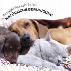 Aniforte Bachblüten Protest -Zoofachgeschäft 2588226ebcbbd40f01b907ef368da65b2a00ff55 1480465 de DE 3ebd76937caa06852ee58c852a369637b3a50c858P4hCz