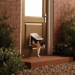 PetSafe 2-Wege Haustiertür Weiß M -Zoofachgeschäft 284b6c0e2d4af407fa066a9ade6919cad93b0996 438829924df9312a221b9e8e0948d50819e6167c