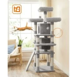 FEANDREA Katzenbaum 172cm Hellgrau Hellgrau -Zoofachgeschäft 2beb608b0c25f31a5b591bd7b697fde4b8299f66 1483575 de DE 0ad423e802c0fbbefde959609f78ace2ca898ed9EZB5uL