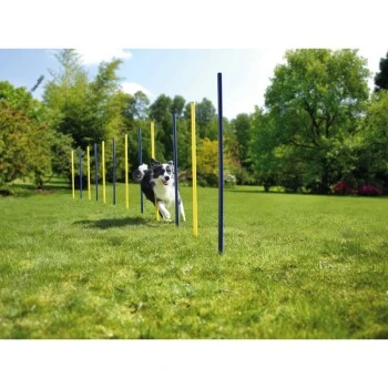 AniOne Agility Slalomstangen 3 AniOne Agility Slalomstangen – Bild 3