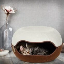 Canadian Cat Company Filz Katzennest 2.0 Weiß 15 Canadian Cat Company Filz Katzennest 2.0 Weiß -Zoofachgeschäft 2d709df44822ed1c554e77257ea4f2826b7f6ee6 1412670 de DE f4bc2f42c404e1ae32cb86346c8e995f0178b889j3OAow