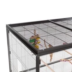 Montana Cages Voliere Paradiso 120 Hellgrau/ Dunkelgrau 8 Montana Cages Voliere Paradiso 120 Hellgrau/ Dunkelgrau -Zoofachgeschäft 2e3ca700ad43b5e6ad054652593895430f2b22d4 1200893 de DE 3f754a7b02eaf44e552bfbe47dafdc8fb7b1d1f8yzvZoM