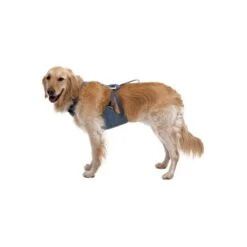 Ruffwear Auto-Sicherheitsgeschirr Load Up™ M -Zoofachgeschäft 3093b420ea874973a4896ceec07c49a8968d3fd1 1670640 de DE 10f6ab706b1f33e82246cce93c7d50d48e826c56cynWL4