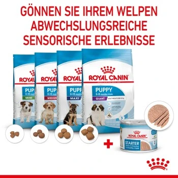 ROYAL CANIN Starter Mousse 12x195g 2 ROYAL CANIN Starter Mousse 12x195g – Bild 2