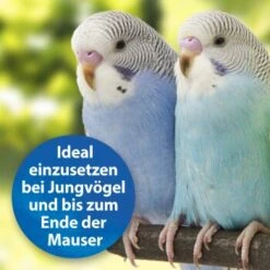 Quiko Plus 400 G: Extra Proteine Für Jungvögel 8 Quiko Plus 400 G: Extra Proteine Für Jungvögel -Zoofachgeschäft 3190f3828e35083694537fdd840250512177f97d 1386524 de DE a58e247c1fb3092732f92fc759d1dabd3a4811c5GIUhYl