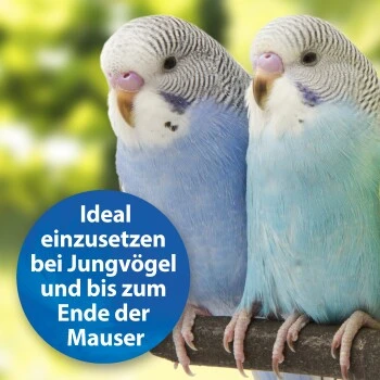 Quiko Plus 400 G: Extra Proteine Für Jungvögel 4 Quiko Plus 400 G: Extra Proteine Für Jungvögel – Bild 4