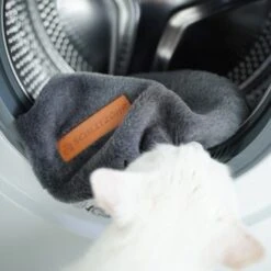 Schlitzohr Ersatzbezug Fensterbankliege -Zoofachgeschäft 31be77f1e399f6136043e21b4738926da0a2a857 1484678 de DE ef0a822967d19fb8fa7e91c1bd57dd978a972d89UwPMnu