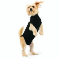Trovet Hundebody Recovery Suit Schwarz XXS -Zoofachgeschäft 32b188fe2b1d79c98c3d705ed0768a2dea55c852 c9c58232ac385af15a91fd1318f8583c048209d5