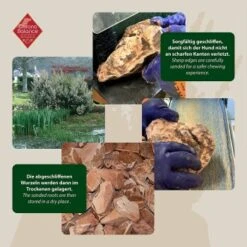 ChronoBalance Kauwurzel Baumheide (S) 2er Paket 8 ChronoBalance Kauwurzel Baumheide (S) 2er Paket -Zoofachgeschäft 337f42f7f9e26434f99a76b1eb1228e2cb3c330b 1418713 de DE ba8b2a31068658c9820512bd79f25900dbe0cd09dhzOS0