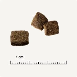 REAL NATURE WILDERNESS Adult Mixpaket Mixpaket 1, Mix-Pack 10 REAL NATURE WILDERNESS Adult Mixpaket Mixpaket 1, Mix-Pack -Zoofachgeschäft 38c9fddfde6e364977836a7419845bd5679c428a 1267097 de DE 6 savannah 1173938004