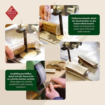 ChronoBalance Geweih Halbiert (XXL) 2er Paket 3 ChronoBalance Geweih Halbiert (XXL) 2er Paket – Bild 3