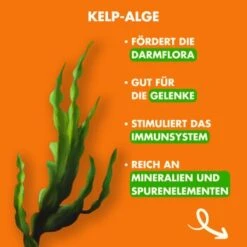 Irish Pure Trockenfutter: Irisches Freiland-Huhn Mit Gemüse & Kelp-Alge, Puppy 1,5 Kg -Zoofachgeschäft 3a8b16bee37c2618d3373fb52219bedb775214d7 1472290 de DE 263f707e10d7aabfff31e248a45885c71d456fb6Hu58bi