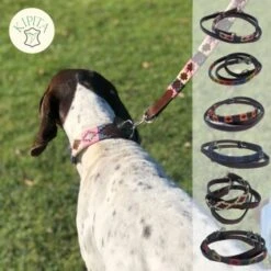 Kipita Polo Hundeleine Gentle 9 Kipita Polo Hundeleine Gentle -Zoofachgeschäft 3c22838a79bc7af3474895a7e8e5a18eca0d8450 1410958 de DE 94785adc580a93927e4b0cb51b07c4918be085d8mZuHLN