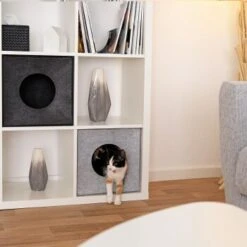 Lionto Katzenhöhle Aus Filz, Regalhöhle Hellgrau -Zoofachgeschäft 3c5d584027a6e3b26513e541aa58d28bf163eba5 1657088 de DE 08ba330c4edc4dd9925351943ddeb35e95610dc5ibJstM